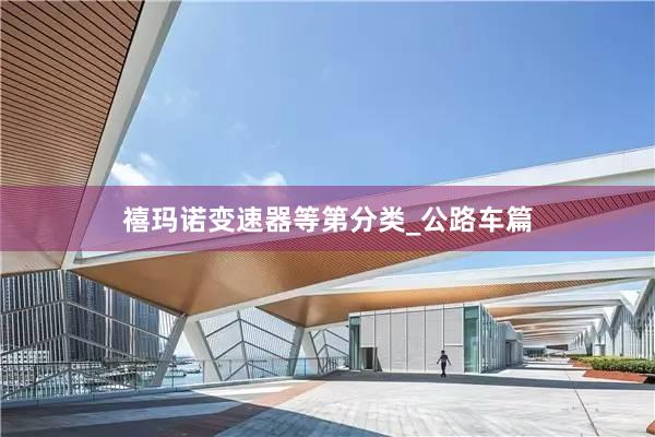 禧玛诺变速器等第分类_公路车篇