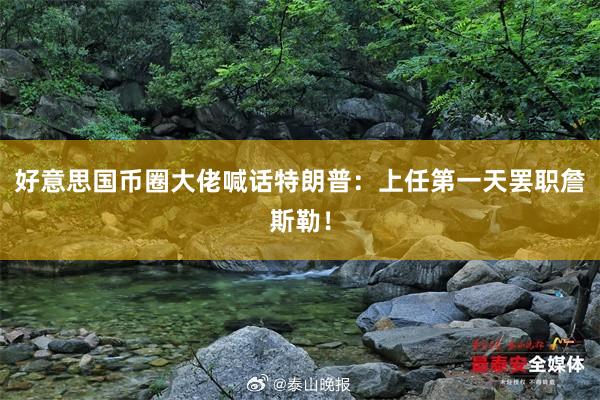 好意思国币圈大佬喊话特朗普：上任第一天罢职詹斯勒！