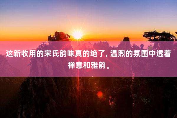 这新收用的宋氏韵味真的绝了, 温煦的氛围中透着禅意和雅韵。