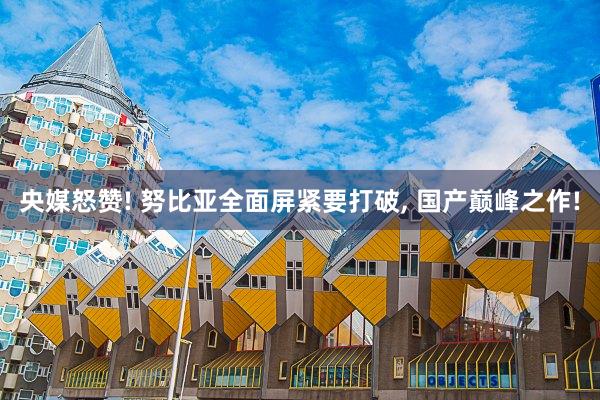 央媒怒赞! 努比亚全面屏紧要打破, 国产巅峰之作!