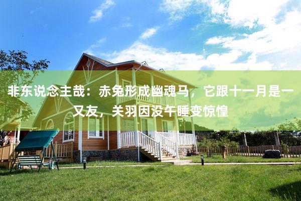 非东说念主哉：赤兔形成幽魂马，它跟十一月是一又友，关羽因没午睡变惊惶