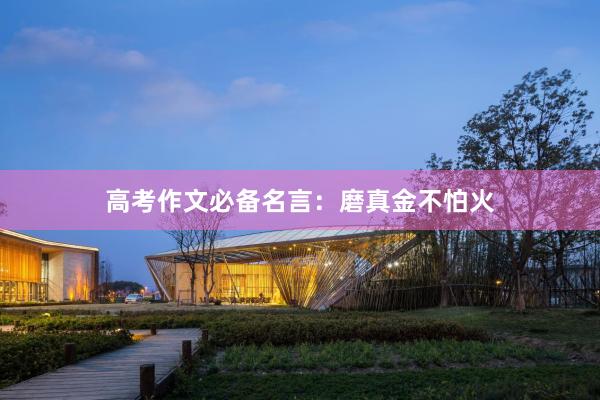 高考作文必备名言：磨真金不怕火