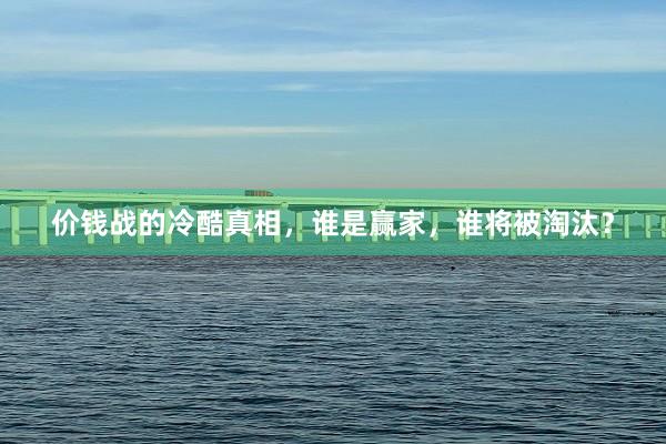 价钱战的冷酷真相，谁是赢家，谁将被淘汰？