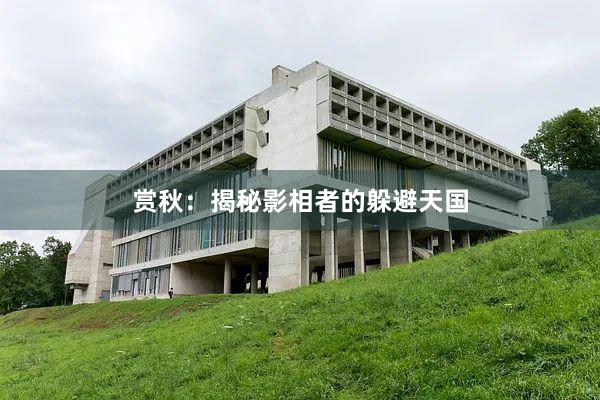 赏秋：揭秘影相者的躲避天国