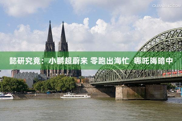 懿研究竟：小鹏超蔚来 零跑出海忙  哪吒晦暗中
