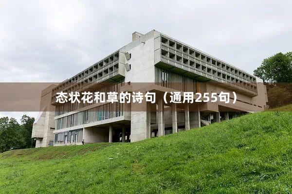 态状花和草的诗句（通用255句）